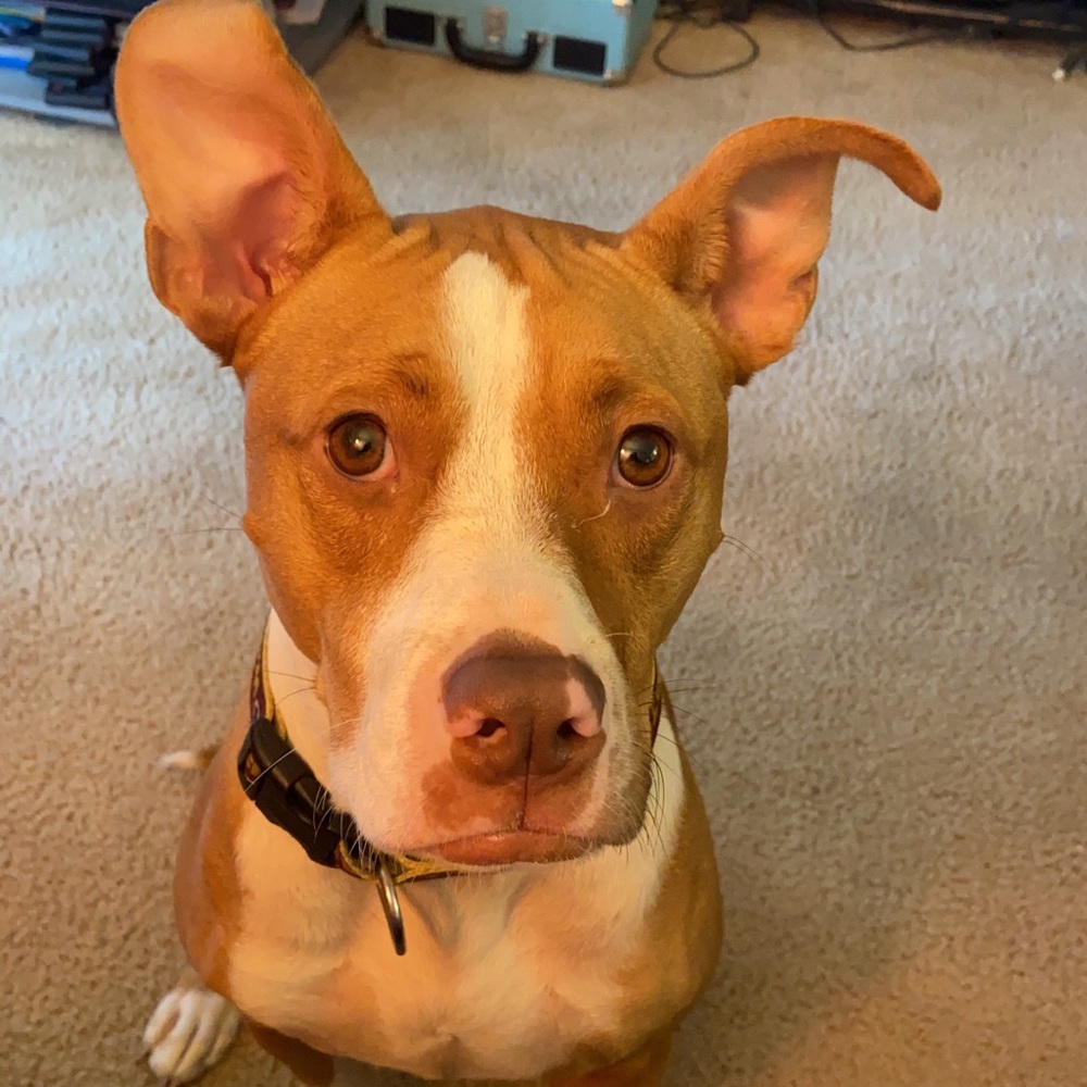 Meet your Posher, Nohemi